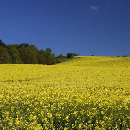 Am Neuensiener - 7 Lejlighed *