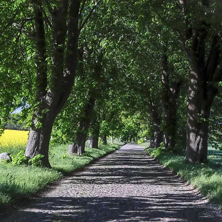 Lejlighed Am Neuensiener - 7